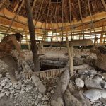 źródło: https://share.google/UnK9DqUXXB0O5fygT