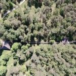 źródło: https://share.google/UnK9DqUXXB0O5fygT